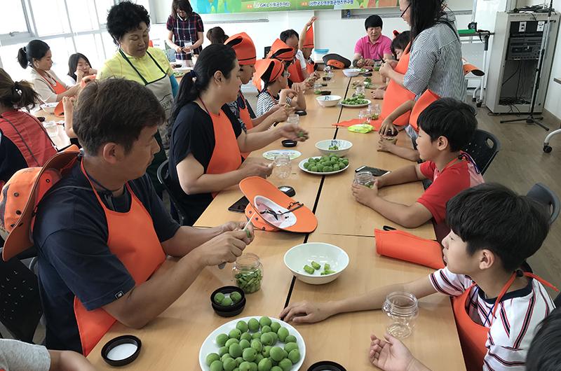 매실장아찌 만들기(5월~6월)